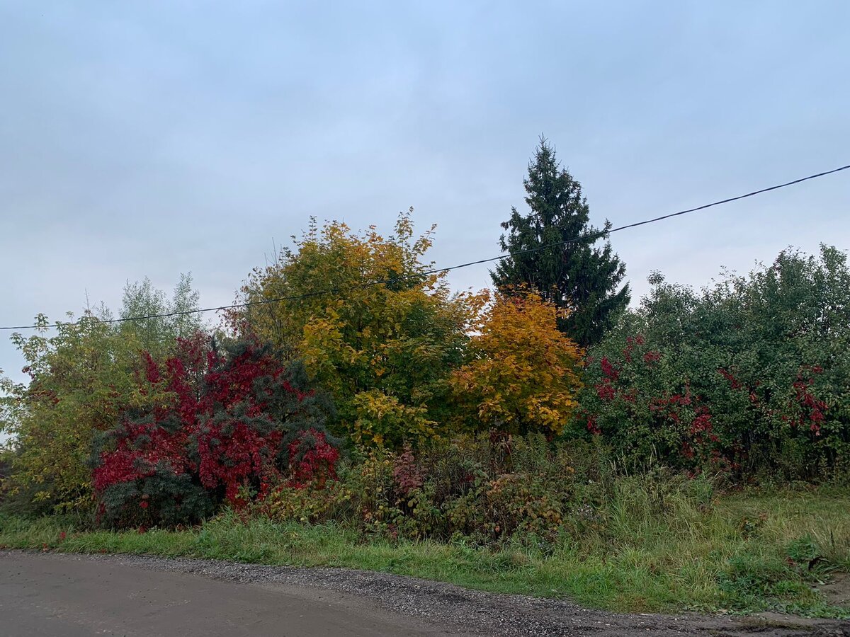 WhatsApp Image 2022-10-06 at 08.58.17.jpeg