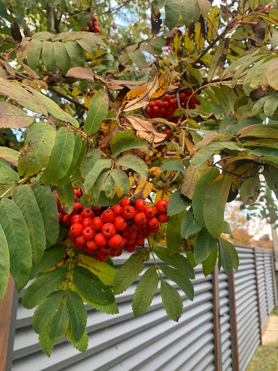 WhatsApp Image 2022-10-06 at 09.02.15.jpeg