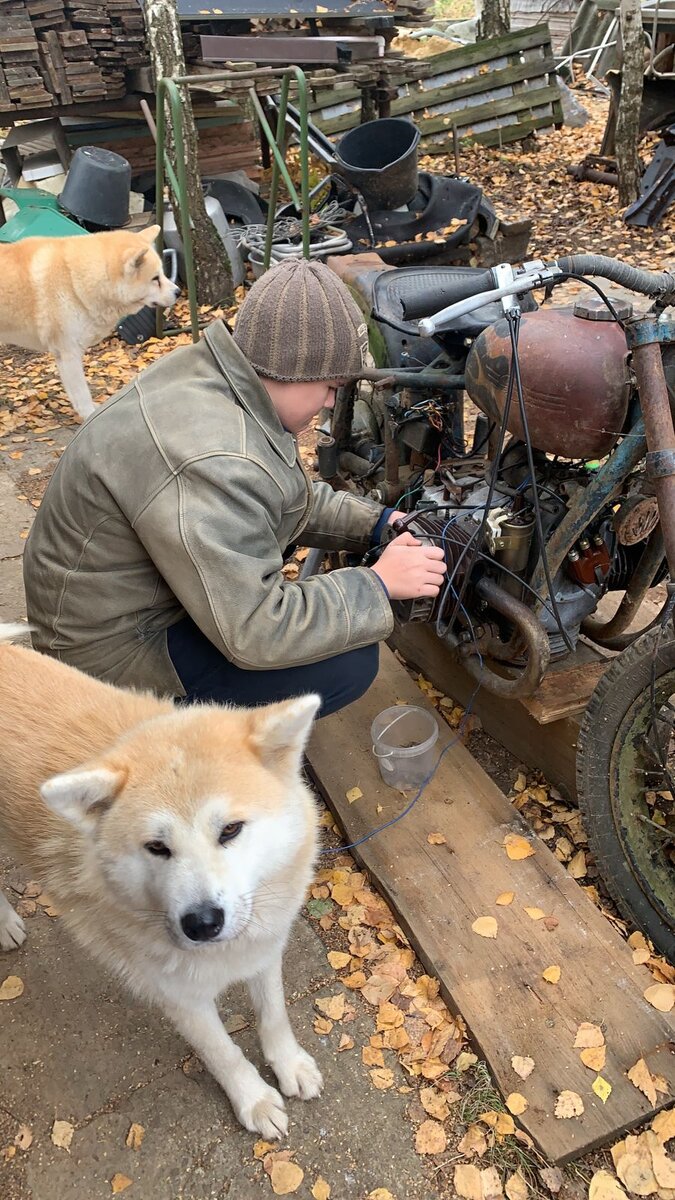 WhatsApp Image 2022-10-13 at 10.22.20.jpeg