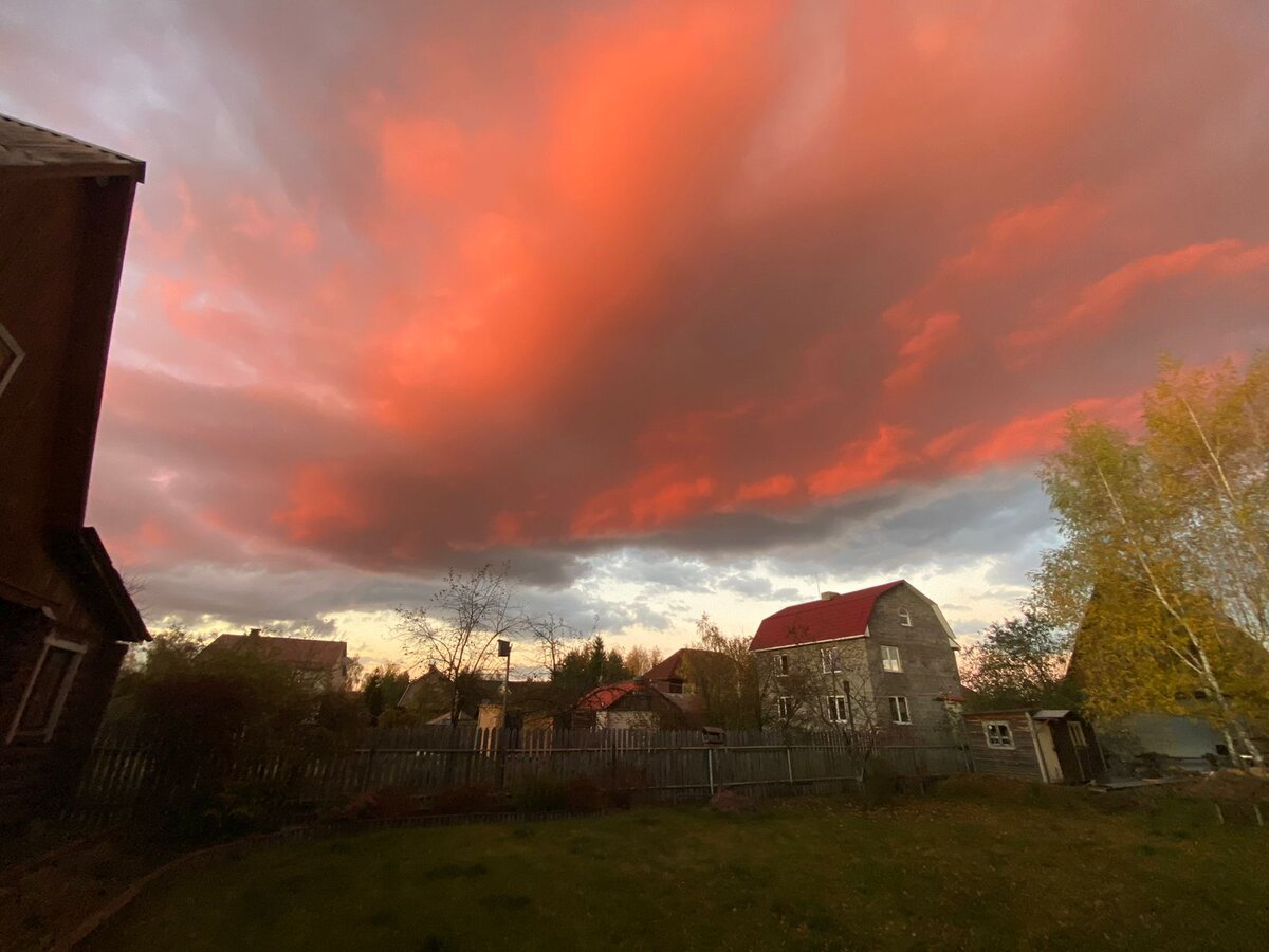 WhatsApp Image 2022-10-13 at 17.41.06.jpeg