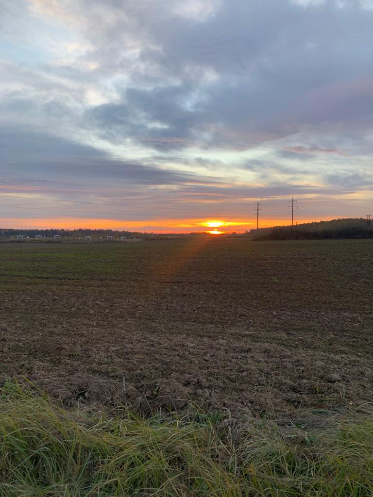 WhatsApp Image 2022-10-17 at 07.38.25 (1).jpeg