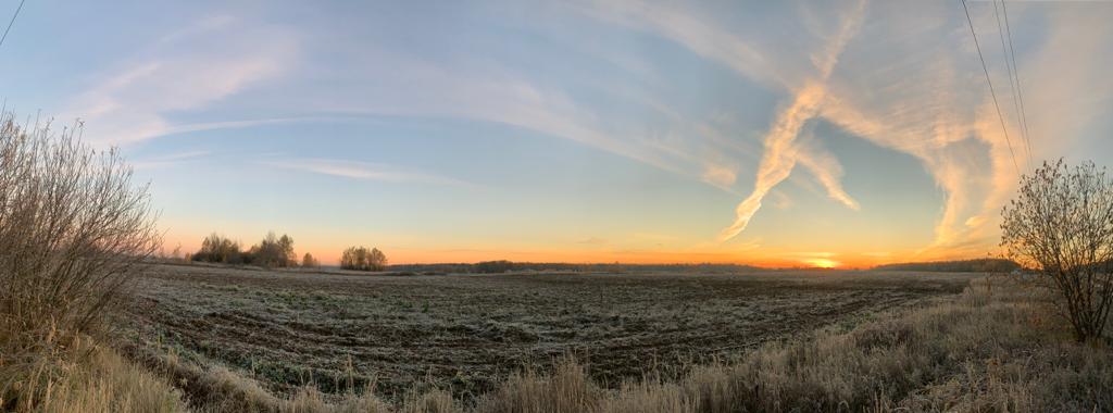 WhatsApp Image 2022-10-25 at 08.15.14.jpeg