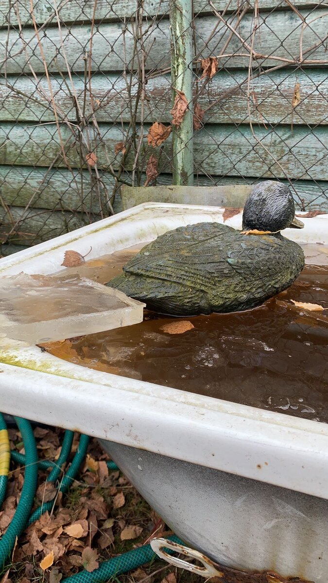 WhatsApp Image 2022-10-27 at 05.38.53.jpeg