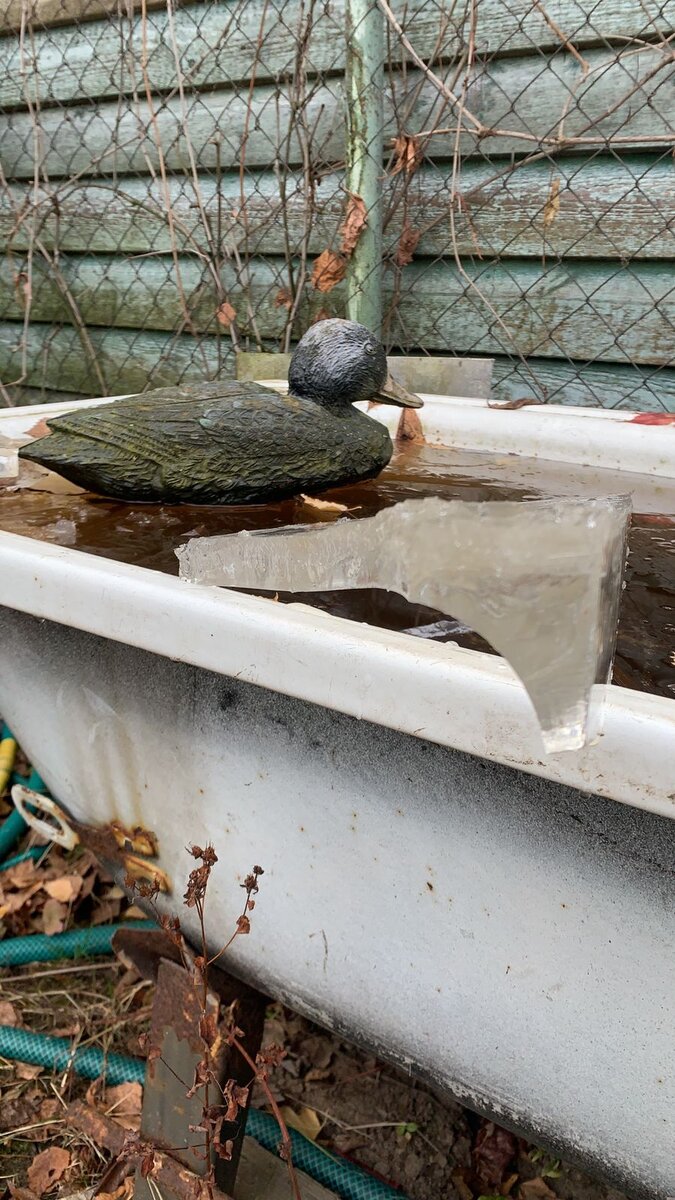 WhatsApp Image 2022-10-27 at 05.39.02.jpeg