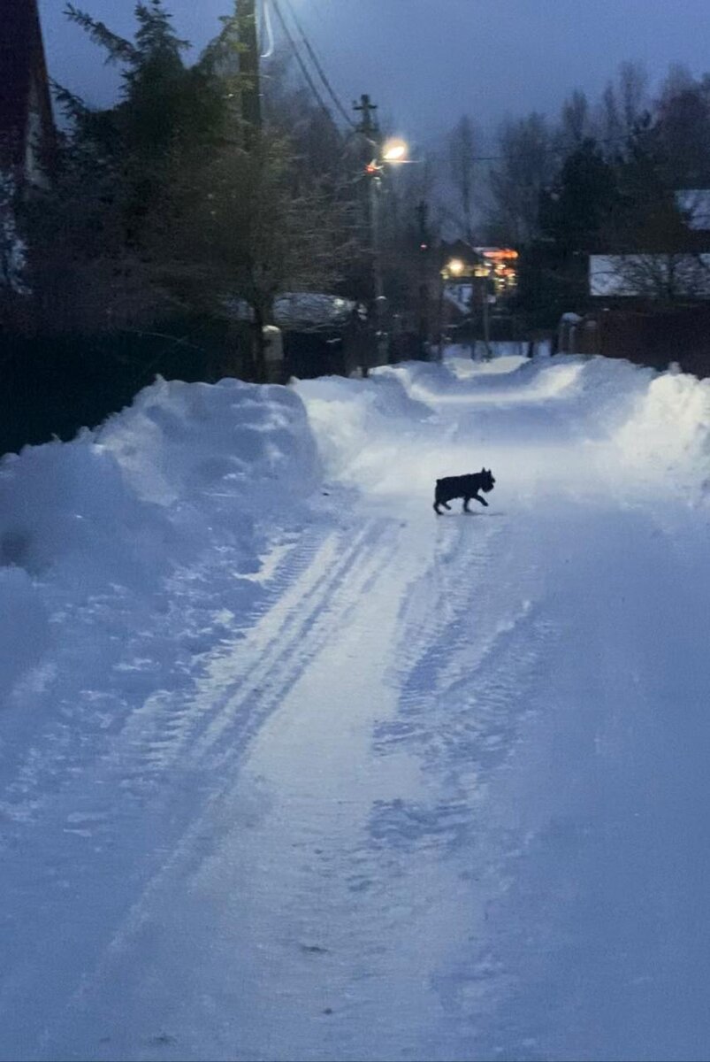 WhatsApp Image 2024-02-13 at 06.23.02.jpeg