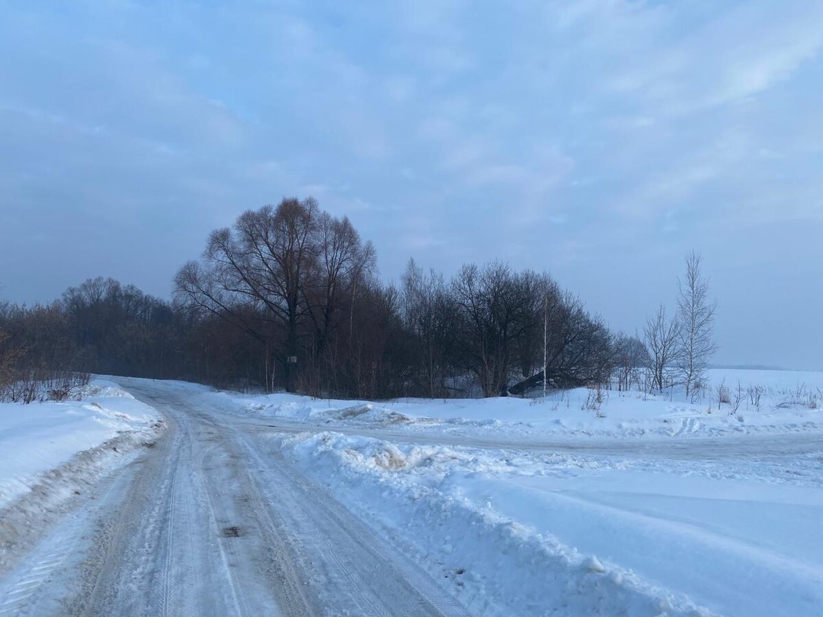 WhatsApp Image 2024-03-02 at 08.10.20.jpeg