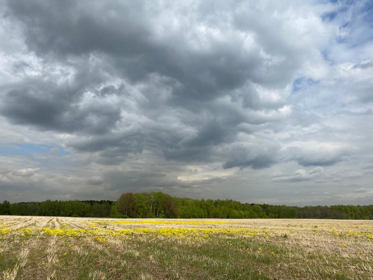 WhatsApp Image 2024-05-14 at 14.57.08.jpeg