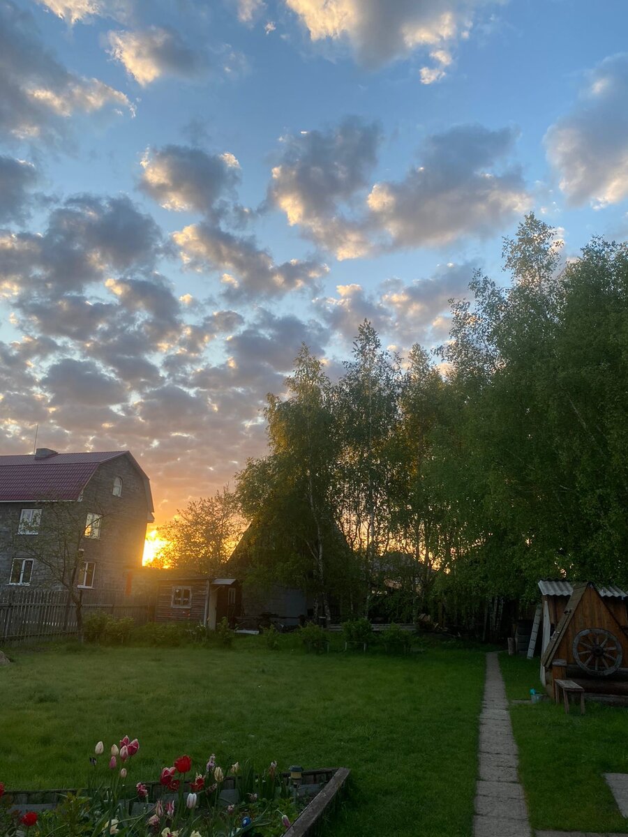 WhatsApp Image 2024-05-20 at 04.39.56.jpeg