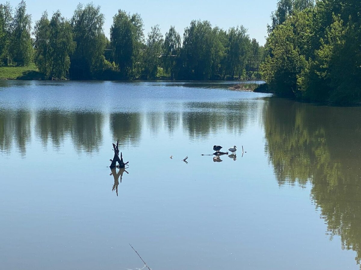 WhatsApp Image 2024-05-23 at 15.15.41.jpeg