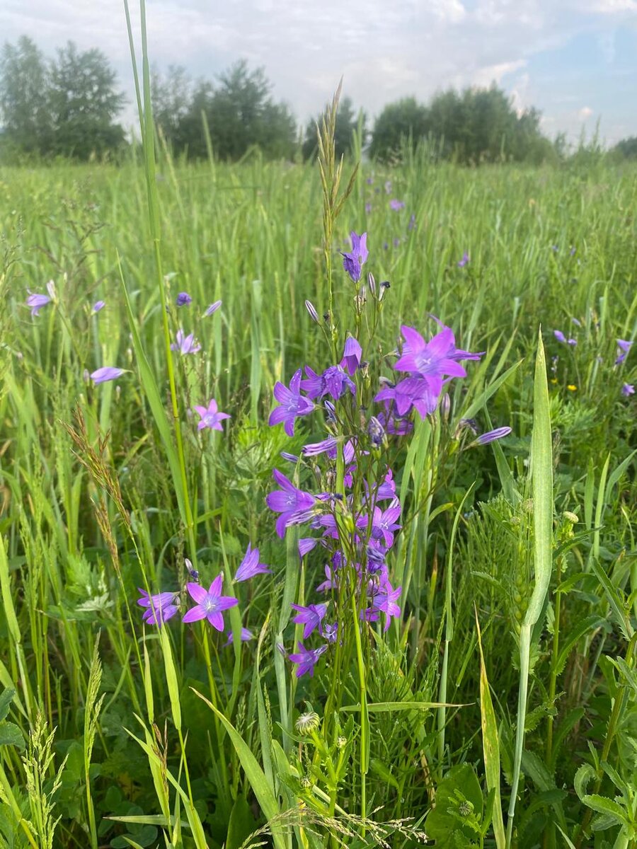 WhatsApp Image 2024-06-06 at 07.50.45 (1).jpeg