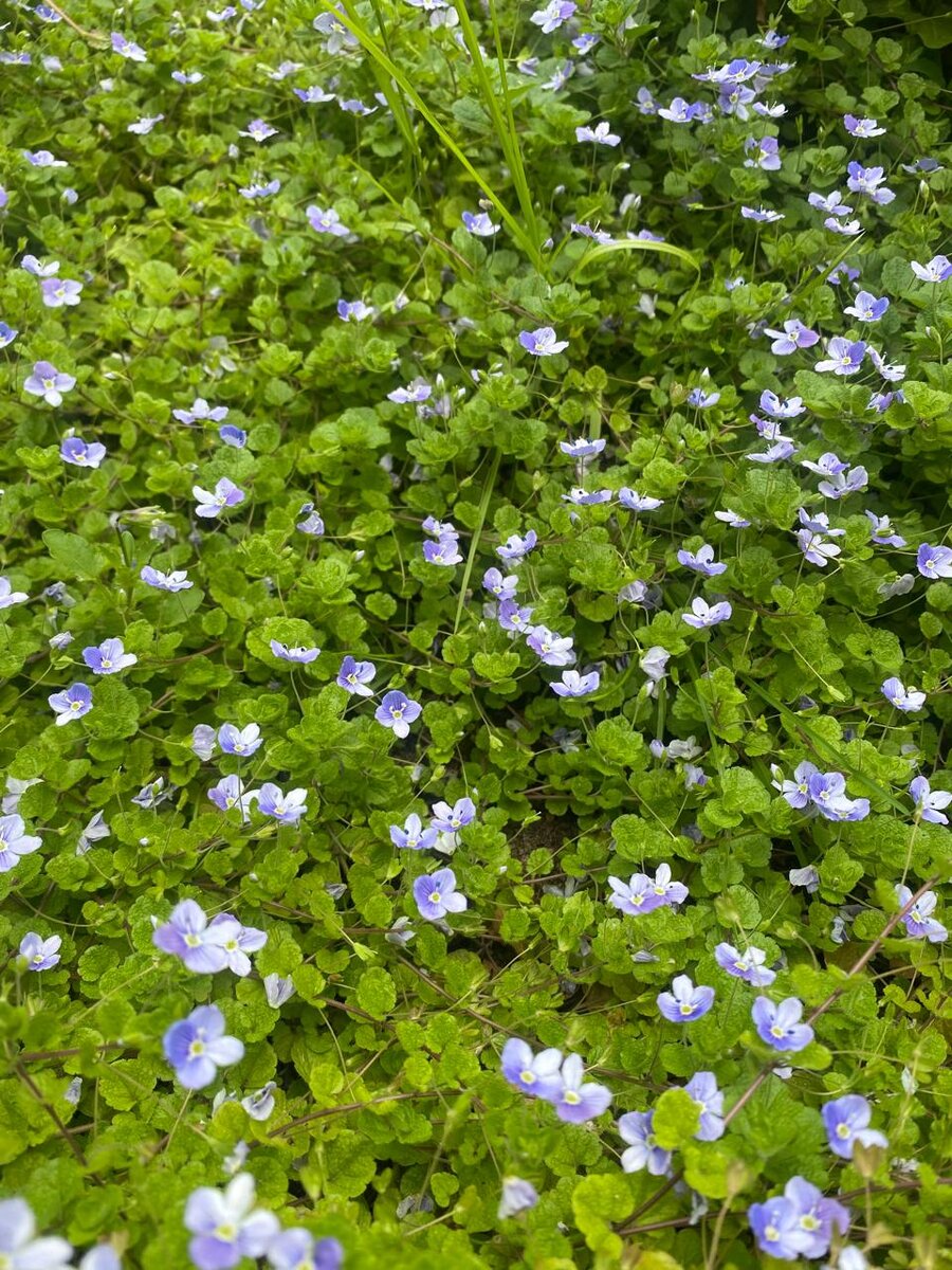 WhatsApp Image 2024-06-06 at 11.07.08.jpeg