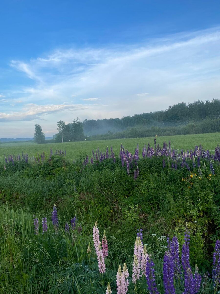 WhatsApp Image 2024-06-06 at 21.10.46.jpeg