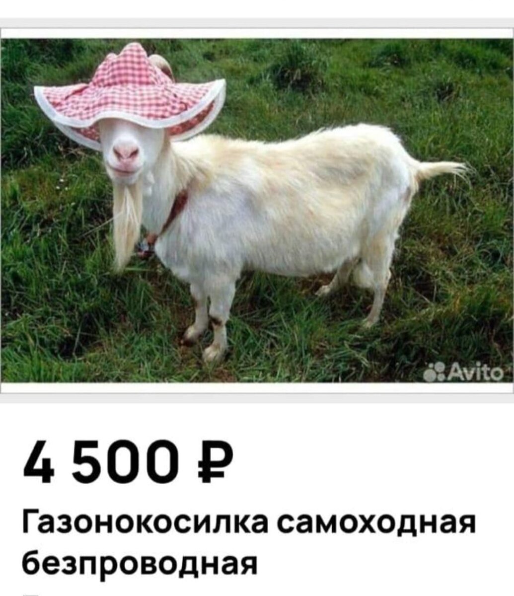 WhatsApp Image 2024-06-07 at 09.07.53.jpeg