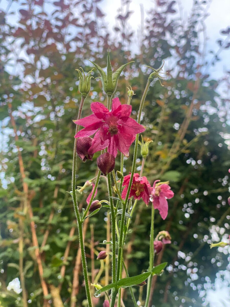 WhatsApp Image 2024-06-08 at 08.42.50.jpeg