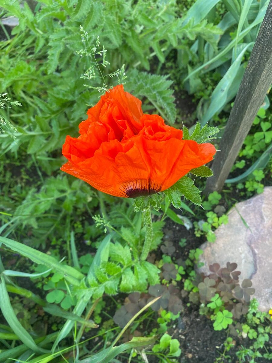 WhatsApp Image 2024-06-08 at 19.25.13.jpeg