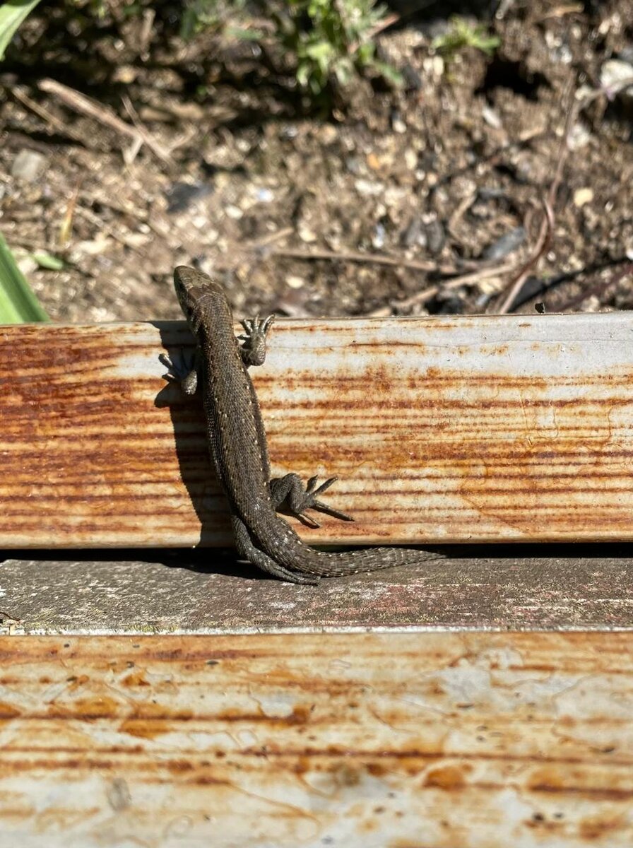 WhatsApp Image 2024-06-09 at 08.50.42 (1).jpeg