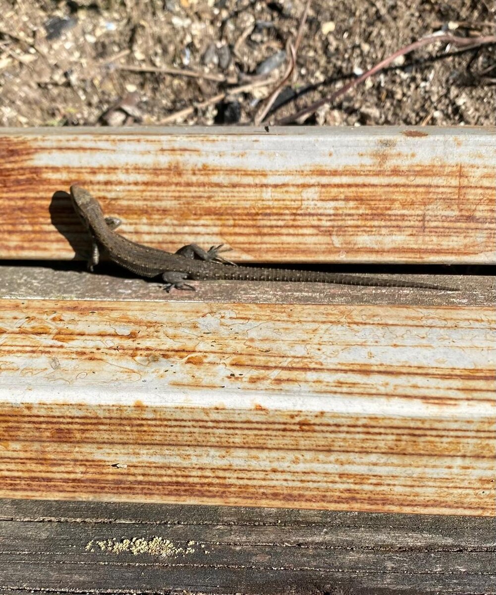 WhatsApp Image 2024-06-09 at 08.50.42.jpeg