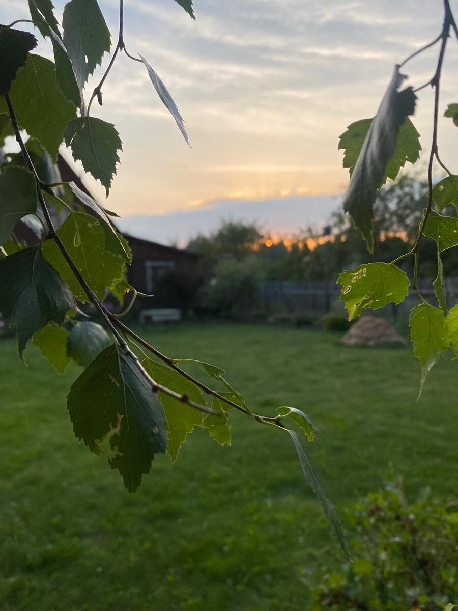 WhatsApp Image 2024-07-10 at 05.08.44.jpeg