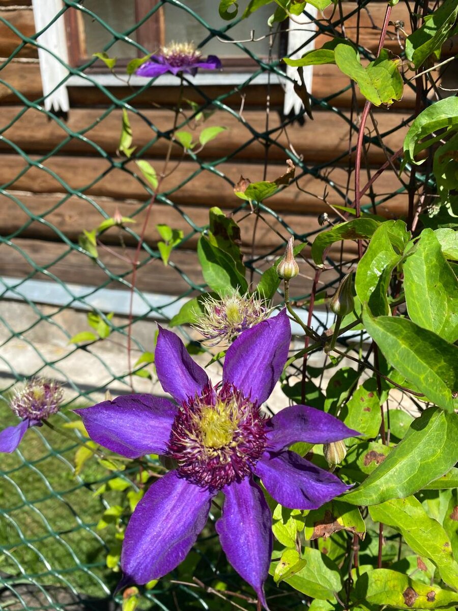 WhatsApp Image 2024-07-10 at 05.09.20 (1).jpeg