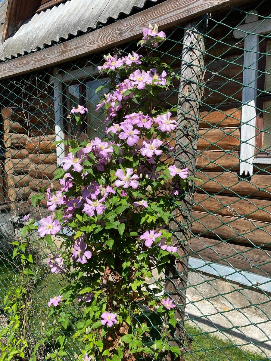 WhatsApp Image 2024-07-10 at 05.09.20 (2).jpeg