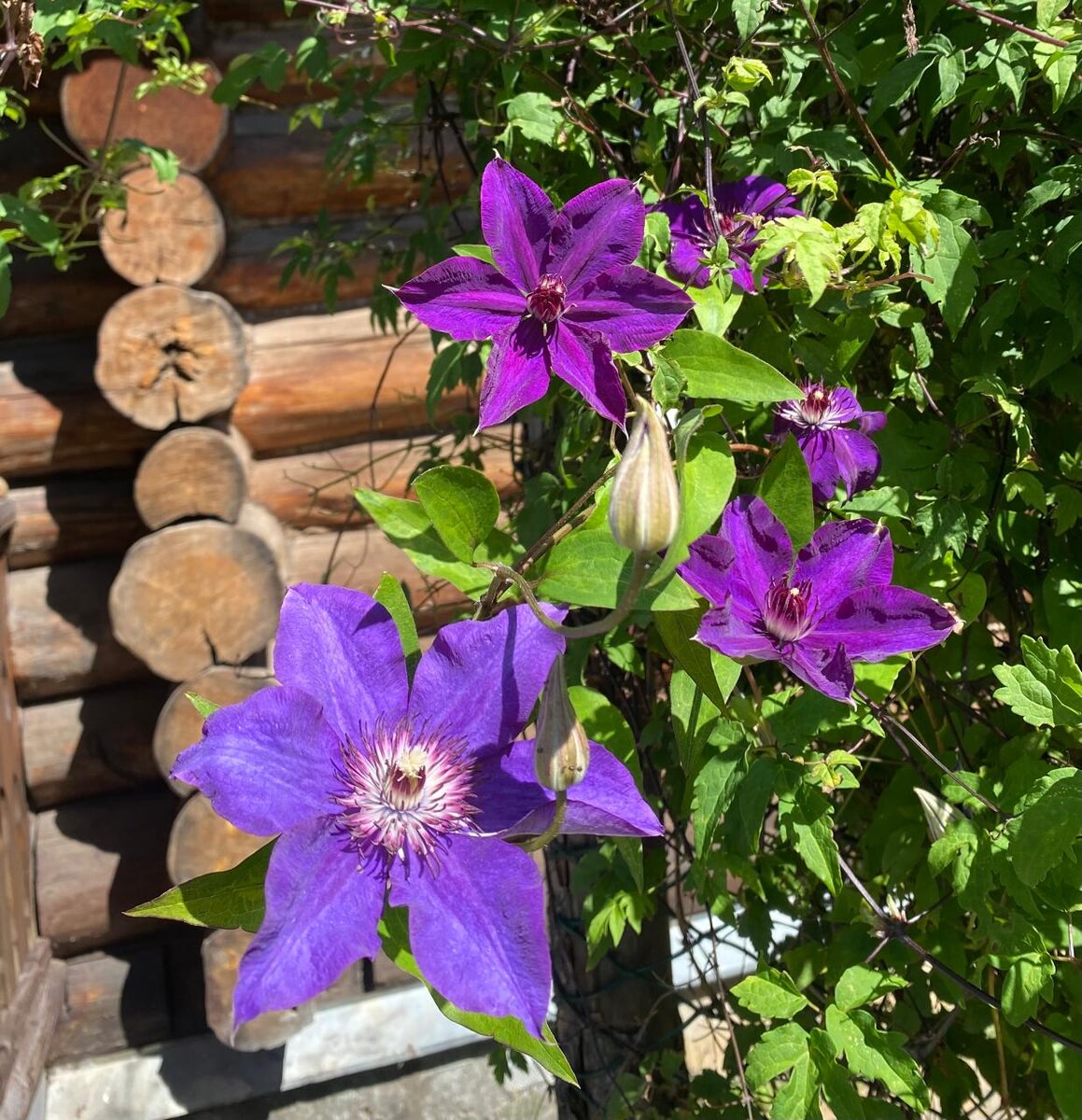 WhatsApp Image 2024-07-10 at 05.09.20.jpeg