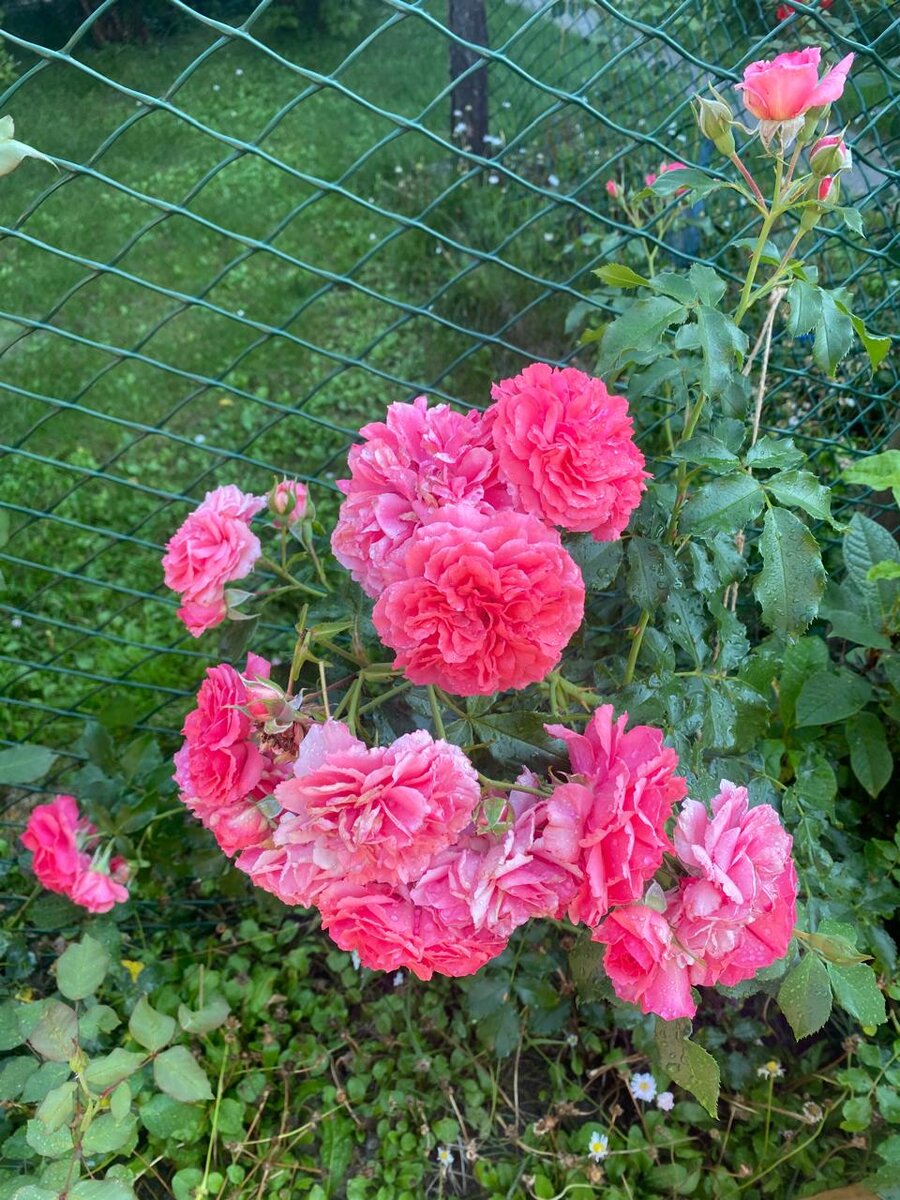 WhatsApp Image 2024-07-10 at 05.09.38.jpeg