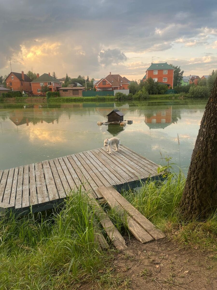 WhatsApp Image 2024-07-20 at 06.38.55.jpeg