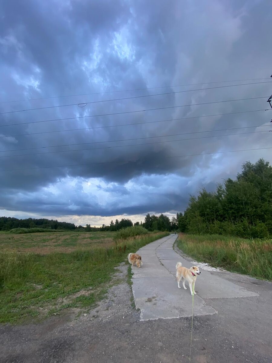 WhatsApp Image 2024-07-21 at 19.15.03.jpeg