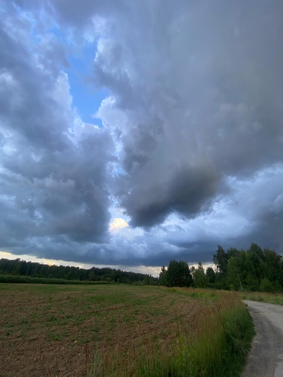 WhatsApp Image 2024-07-22 at 05.13.59.jpeg