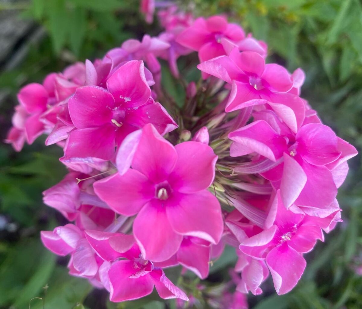 WhatsApp Image 2024-07-24 at 05.42.24 (1).jpeg