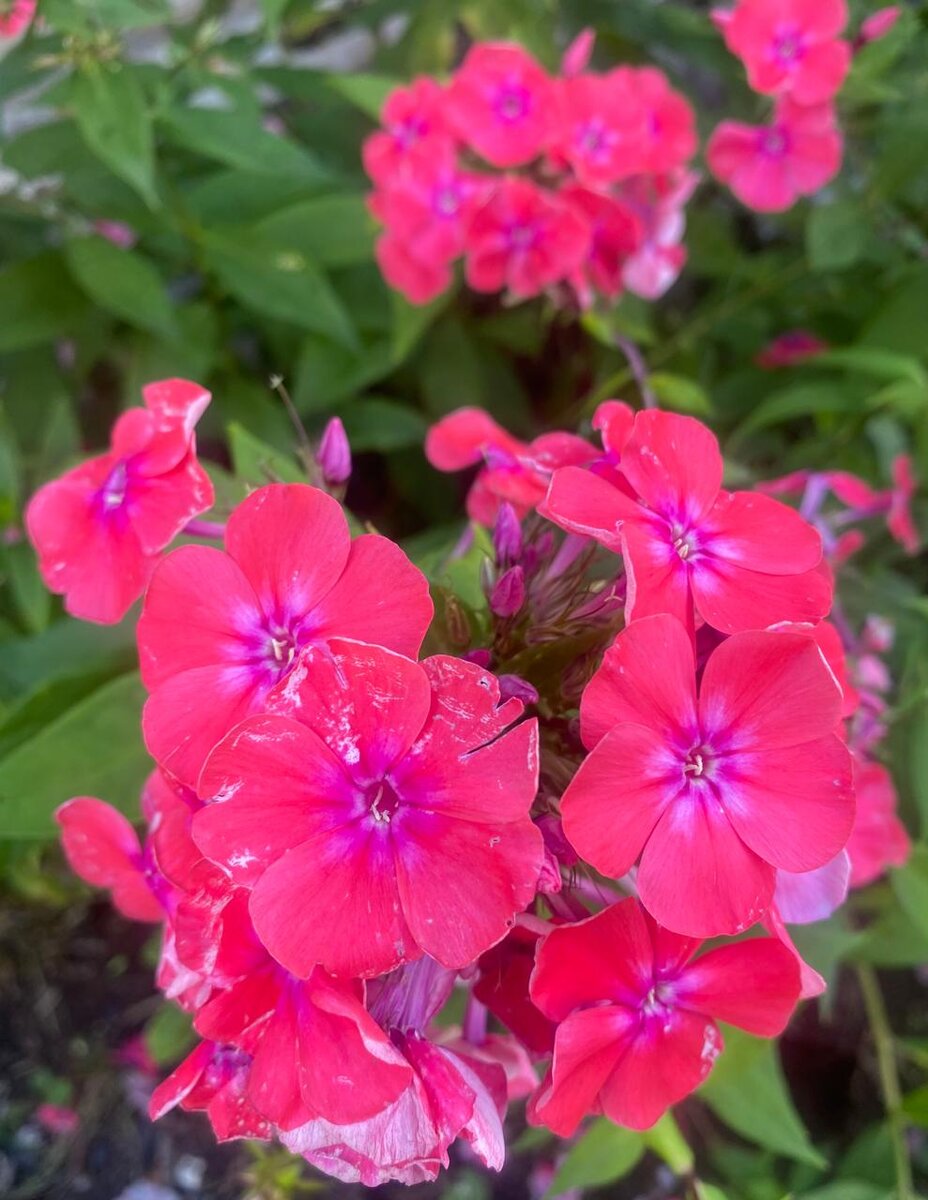 WhatsApp Image 2024-07-24 at 05.42.25 (1).jpeg