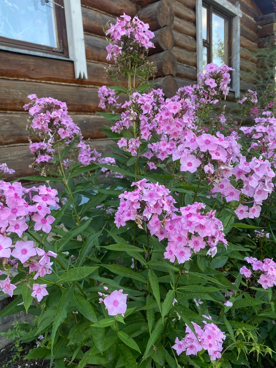 WhatsApp Image 2024-07-24 at 05.42.25 (2).jpeg