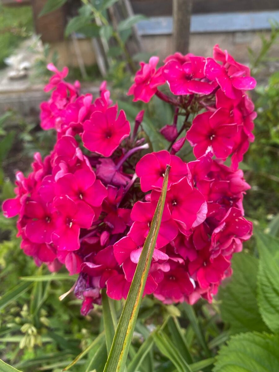 WhatsApp Image 2024-07-24 at 05.42.25.jpeg