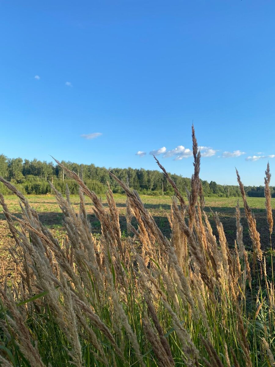 WhatsApp Image 2024-07-24 at 05.42.37.jpeg