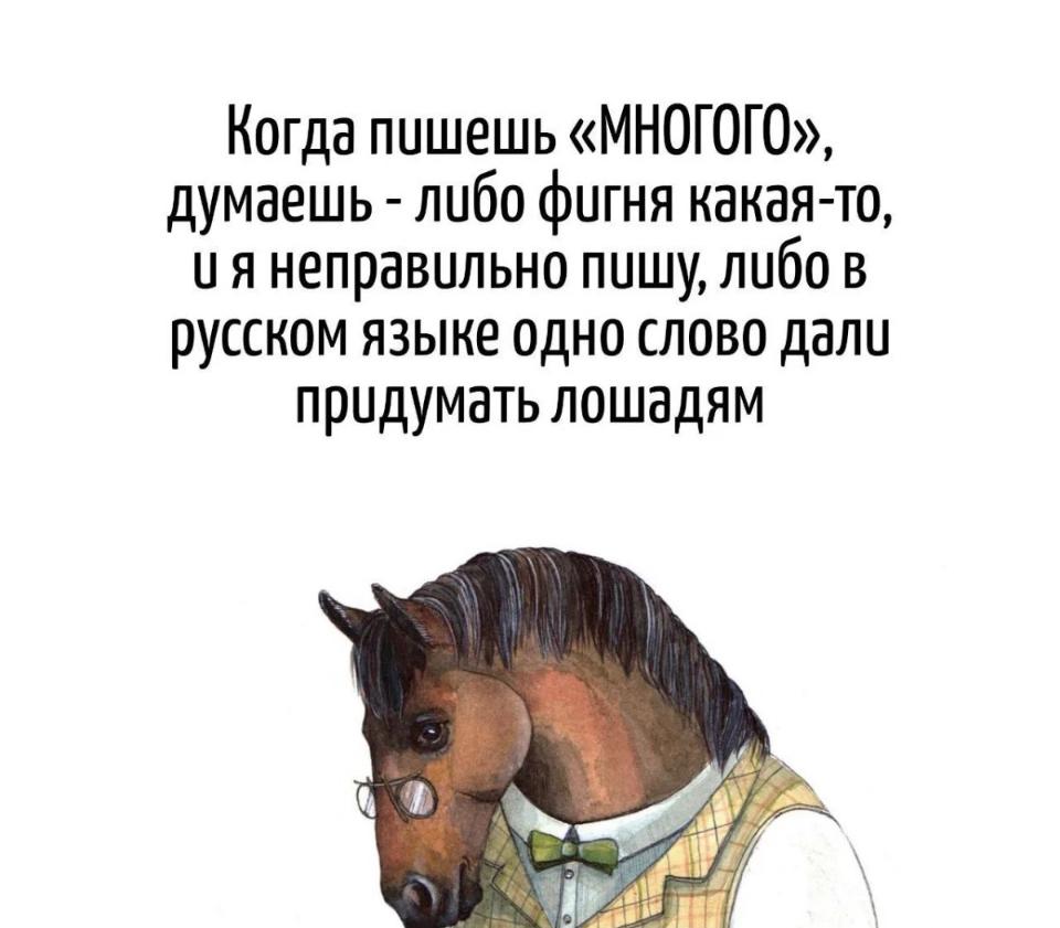 WhatsApp Image 2025-05-29 at 09.31.14.jpeg