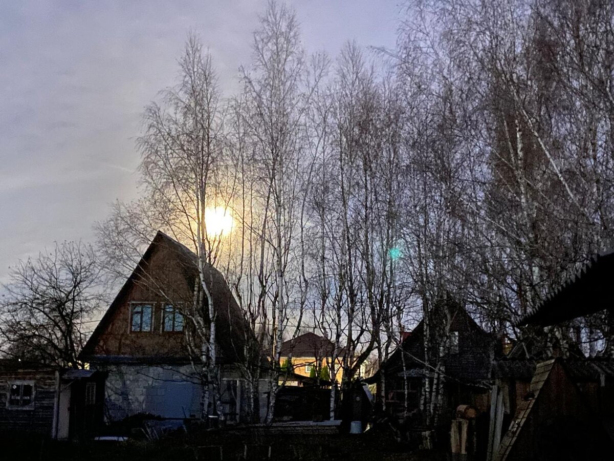 WhatsApp Image 2025-11-05 at 18.00.28.jpeg