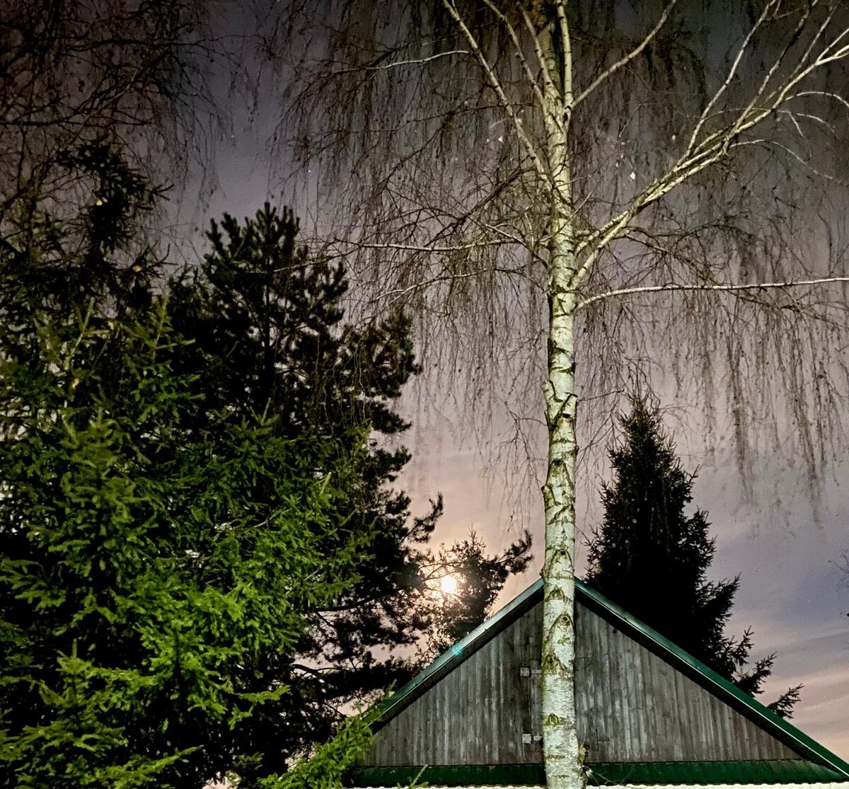 WhatsApp Image 2025-11-05 at 18.57.26.jpeg