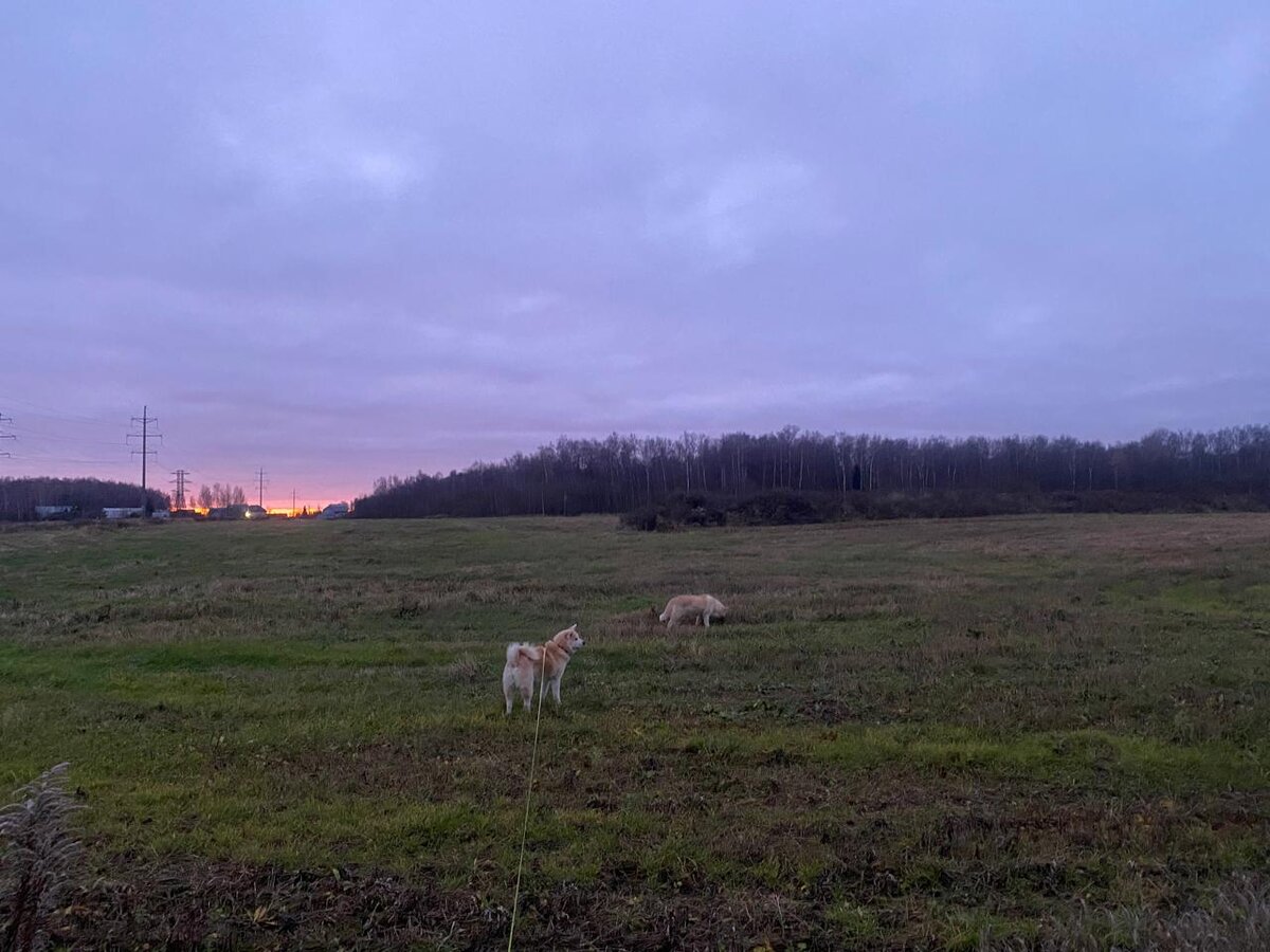 WhatsApp Image 2025-11-06 at 07.43.02.jpeg