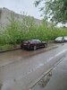 20250506_094222.jpg