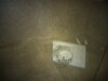 DSC09936.JPG