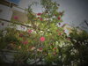 DSC09947.JPG