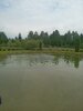 IMG-20250622-WA0034.jpg