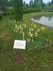IMG-20250622-WA0035.jpg