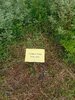 IMG-20250622-WA0039.jpg