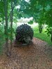 IMG-20250623-WA0028.jpg