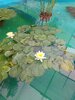 IMG-20250622-WA0044.jpg