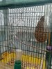 IMG-20250622-WA0046.jpg
