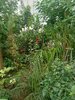 IMG-20250622-WA0048.jpg