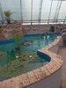 IMG-20250622-WA0056.jpg