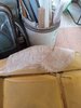 IMG-20250724-WA0056.jpg